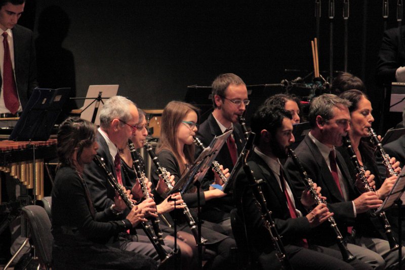 Santa Cecilia 2016 - Concerto (Foto: Paolo Chiarotto)